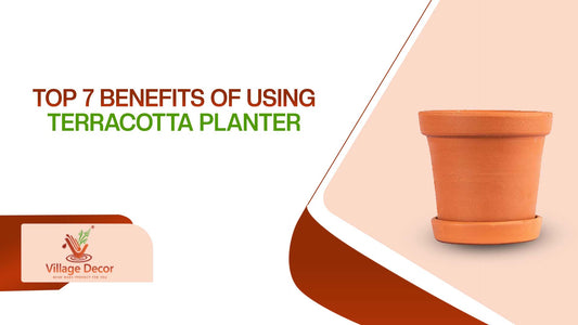 Top 7 Benefits of Using Terracotta Planters