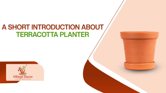 Introduction to Terracotta Planters: A Timeless Choice for Your Garden