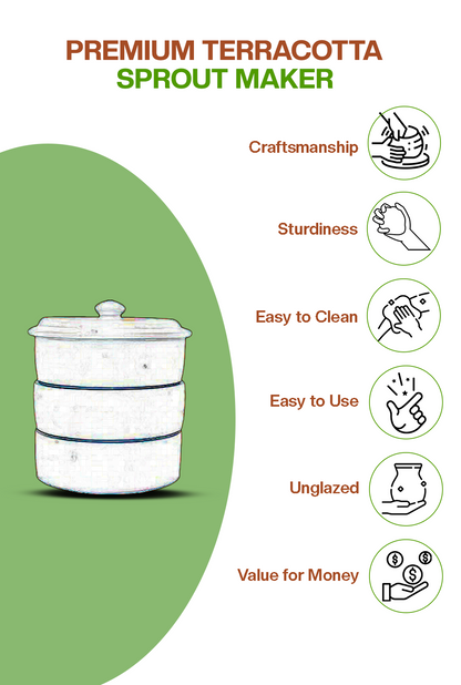 Earthen Clay Sprout Box (3 container)