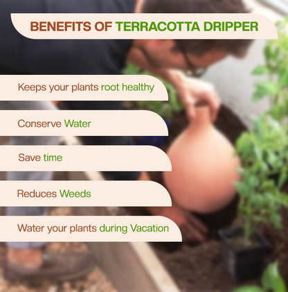 Terracotta Self Watering Automatically Water Your Plants