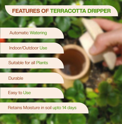 Terracotta Self Watering Automatically Water Your Plants