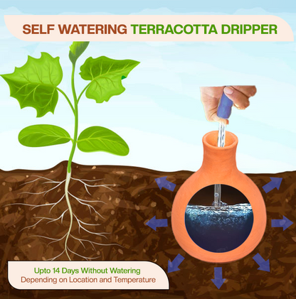 Terracotta Self Watering Automatically Water Your Plants