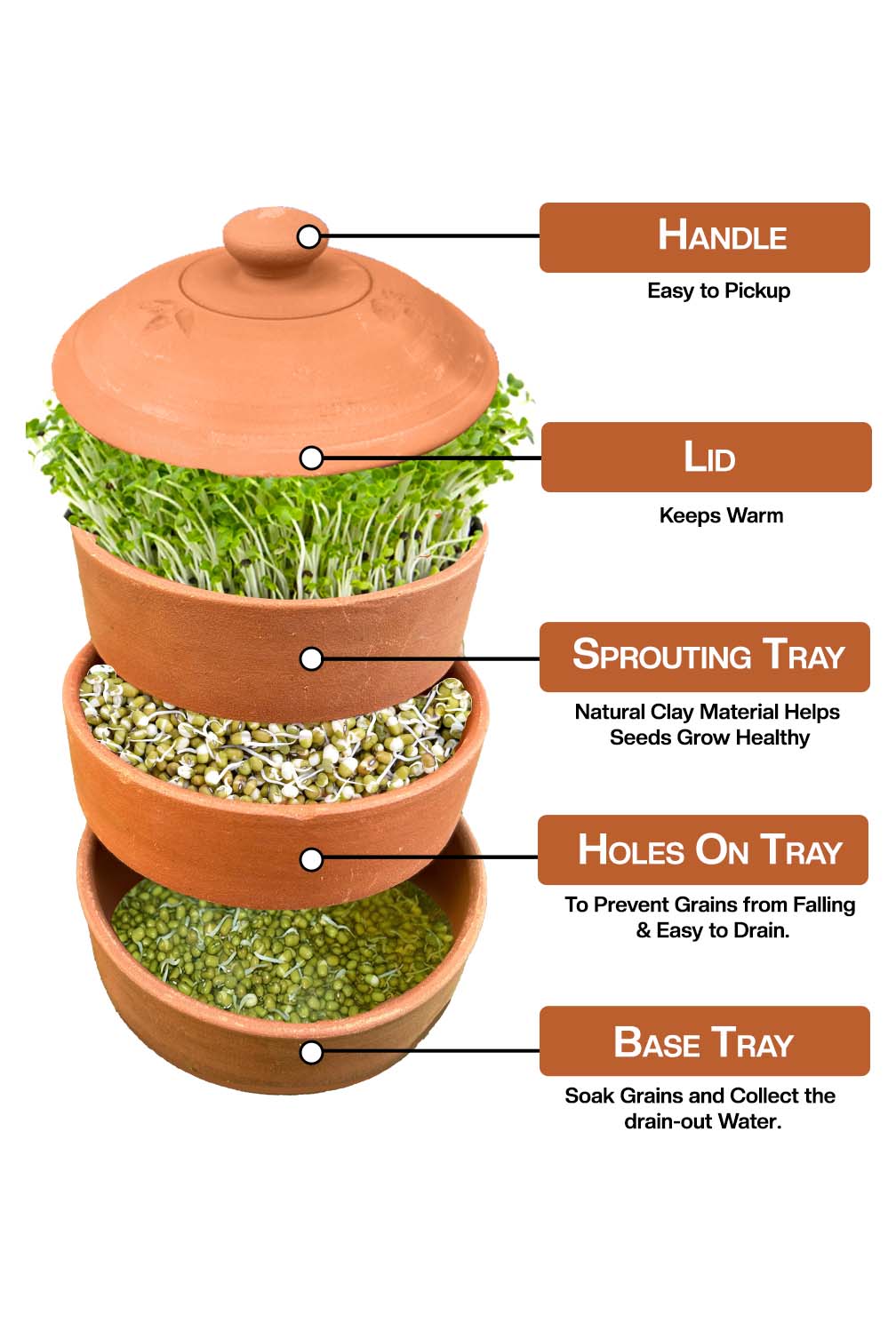 Easy to understand view of terracotta sprout maker showing its lid sprouting trays and base with labels.
