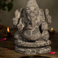 Black Stone Vinayagar Idol in Traditional Pooja Setup with Diyas, Rose Petals, and Tulsi Plant for Home Decor or Vastu Placement.
