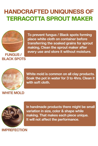Earthen Clay Sprout Box (3 container)
