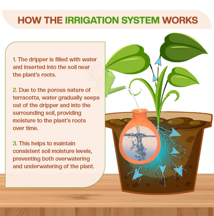 Terracotta Self Watering Automatically Water Your Plants