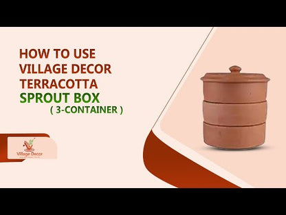 Earthen Clay Sprout Box (3 container)