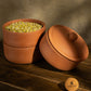 Earthen Clay Sprout Box (3 container)